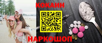 шишки Дубна