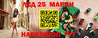 кокс Донской