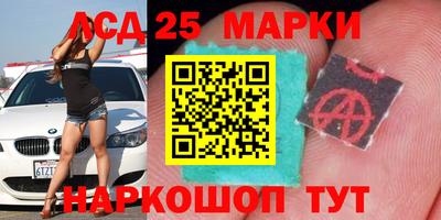 кокс Донской