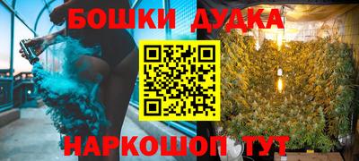 шишки Дубна
