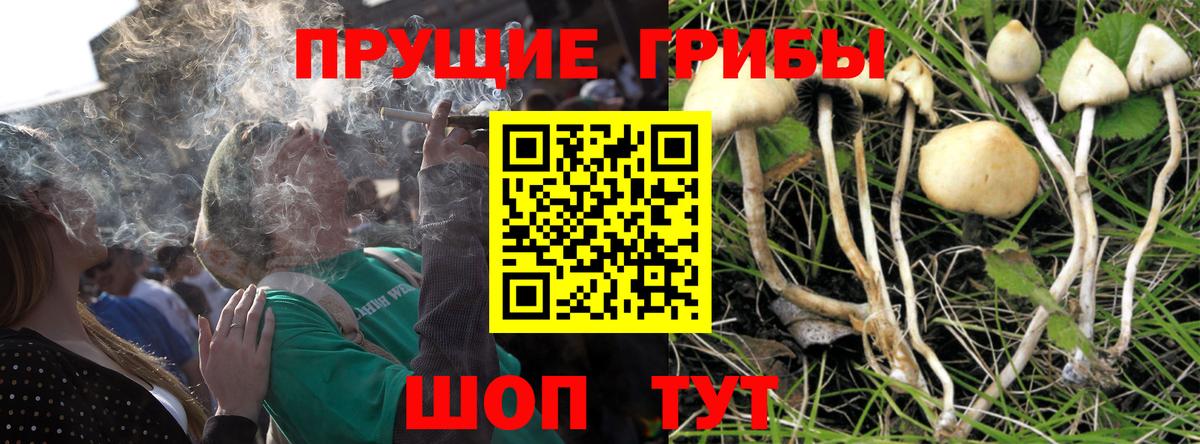 Мирный  Галлюциногенные грибы мухоморы  Псилоцибиновые грибы GOLDEN TEACHER  Вход с VPN 