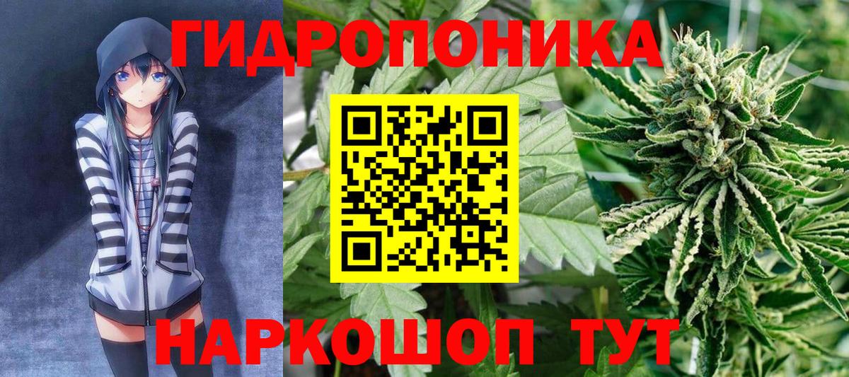 Бошки Шишки ГИДРОПОН  Вход с VPN  МАРИХУАНА VHQ  Конопля Ganja  Мирный 